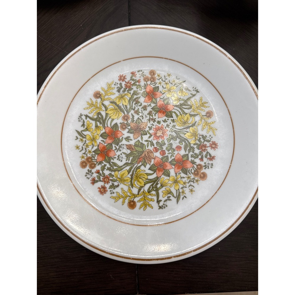 Corelle Indian Summer Dinner Plate 10.25 Inch Floral Vitrelle Glass by Corning